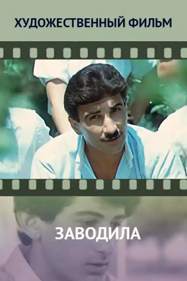movie vertical poster fallback