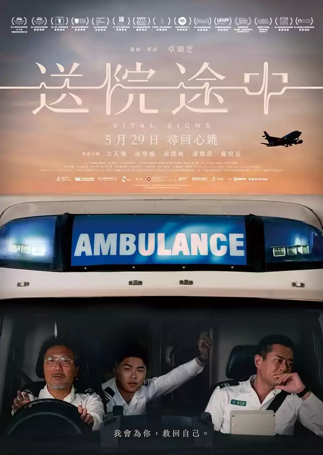 movie vertical poster fallback