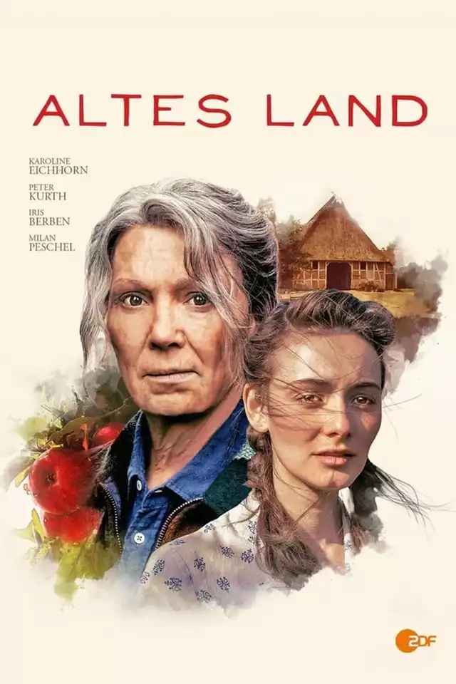 movie vertical poster fallback