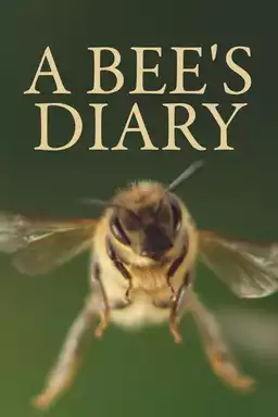 A Bee's Diary