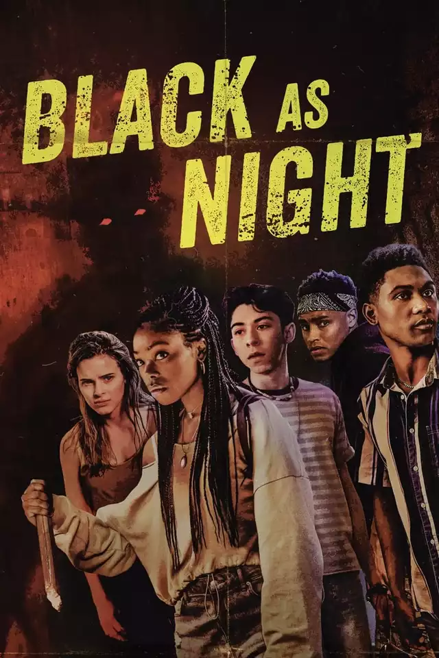 movie vertical poster fallback