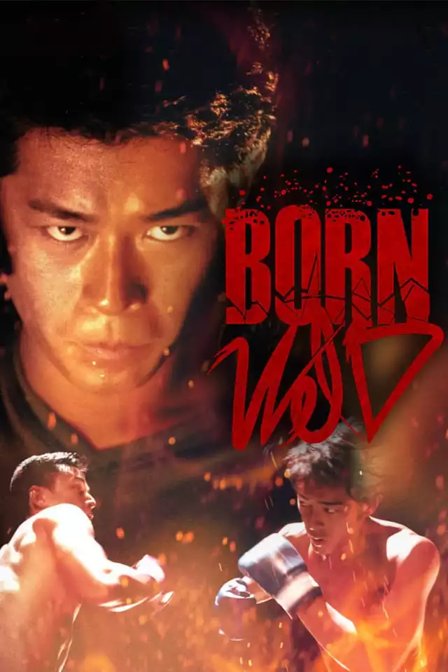 movie vertical poster fallback