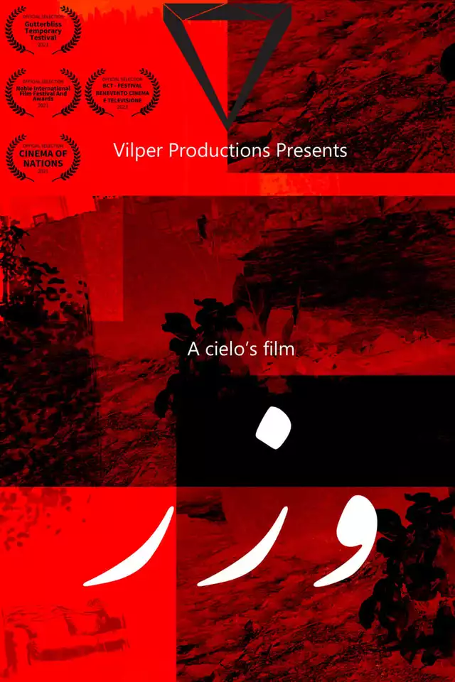 movie vertical poster fallback