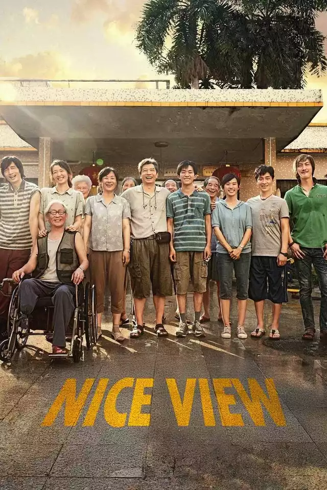 movie vertical poster fallback