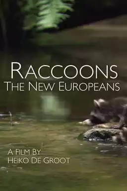 Raccoons: The New Europeans