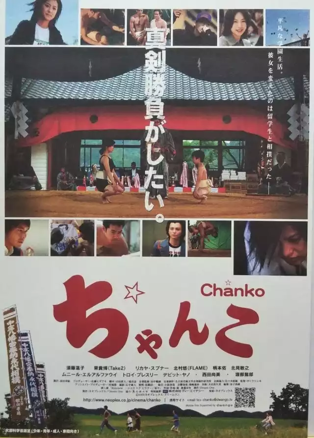 movie vertical poster fallback