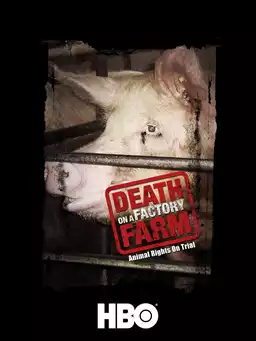 Death on a Factory Farm