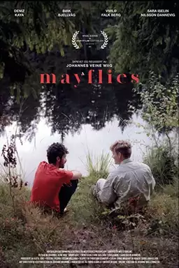 Mayflies