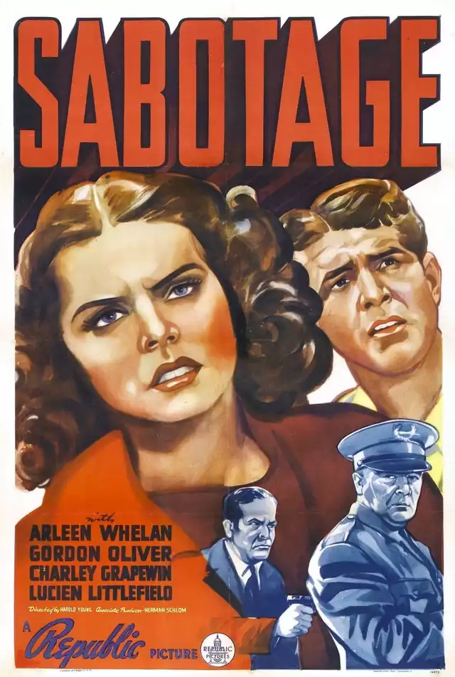 movie vertical poster fallback