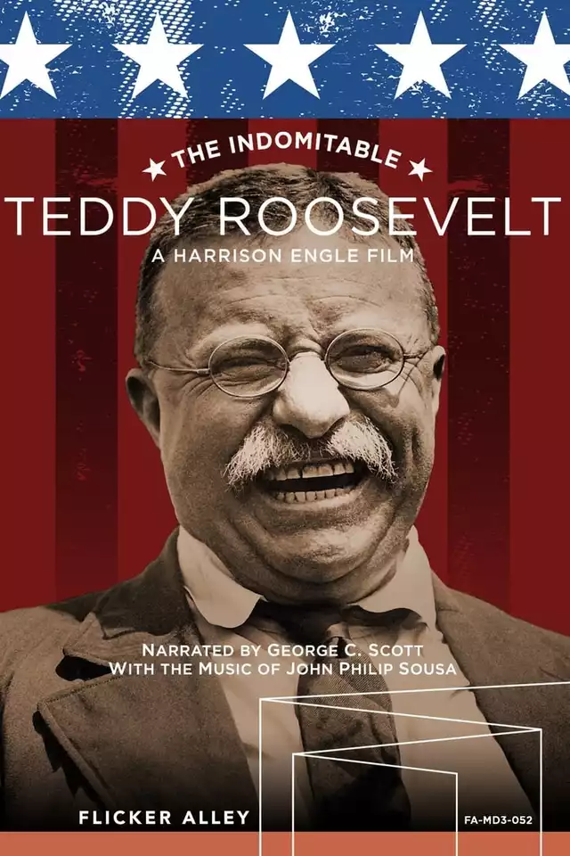 movie vertical poster fallback