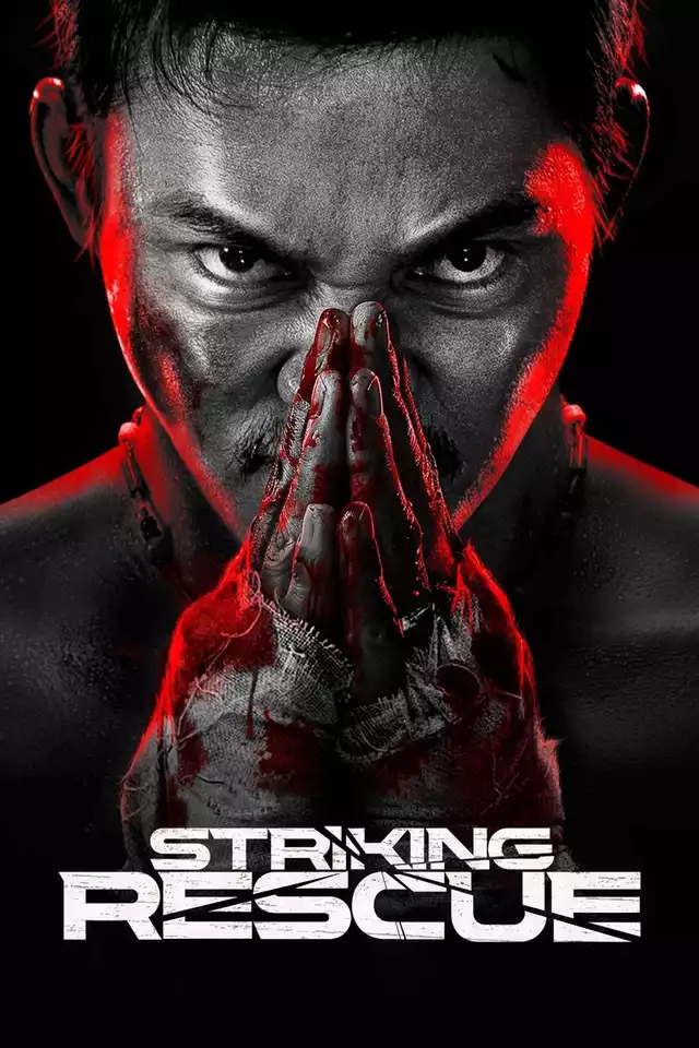 movie vertical poster fallback