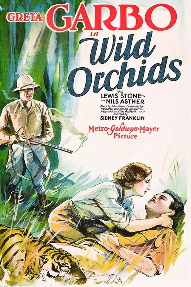 movie vertical poster fallback
