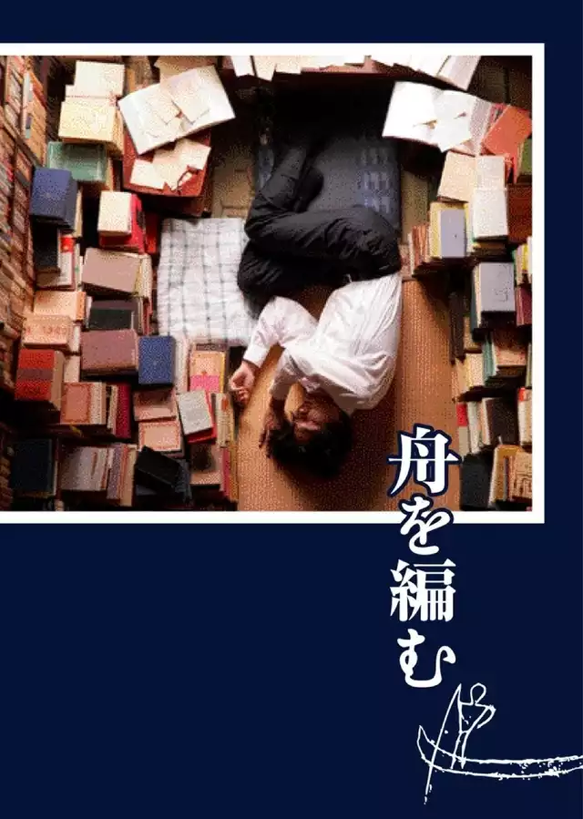 movie vertical poster fallback
