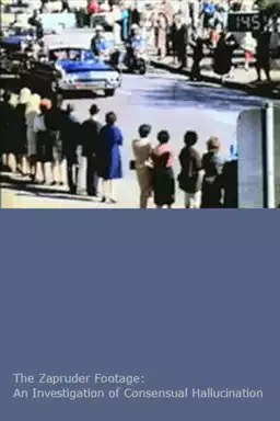 The Zapruder Footage: An Investigation of Consensual Hallucination