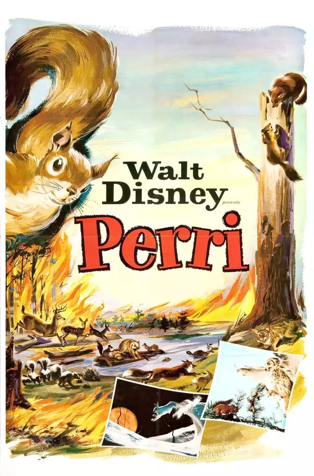 movie vertical poster fallback