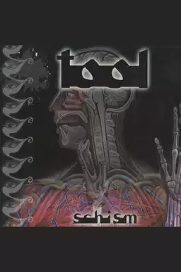 TOOL - Schism