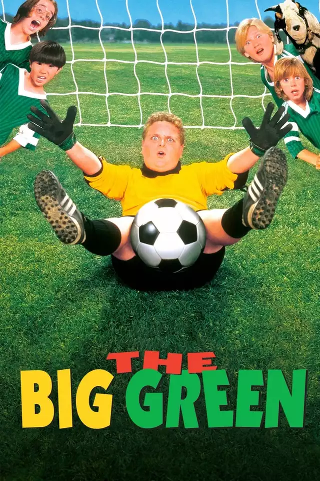 movie vertical poster fallback
