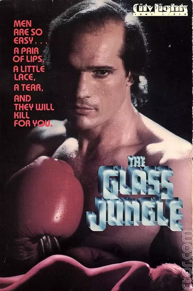 movie vertical poster fallback