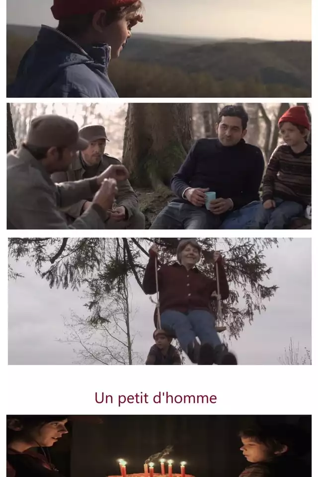 movie vertical poster fallback