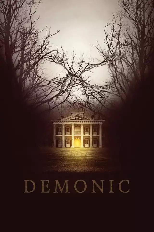 movie vertical poster fallback