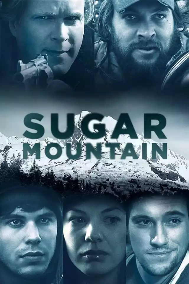 movie vertical poster fallback