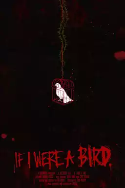 If I Were A Bird
