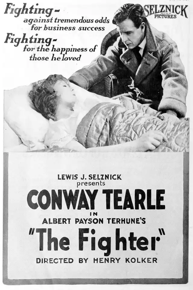 movie vertical poster fallback