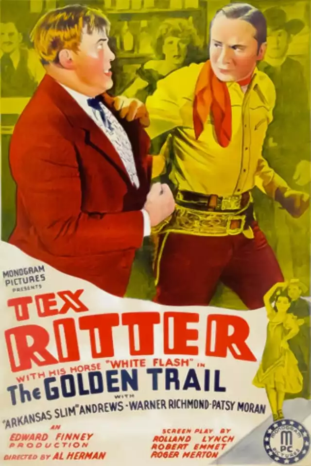 movie vertical poster fallback