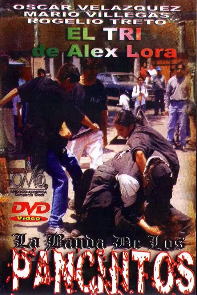 movie vertical poster fallback