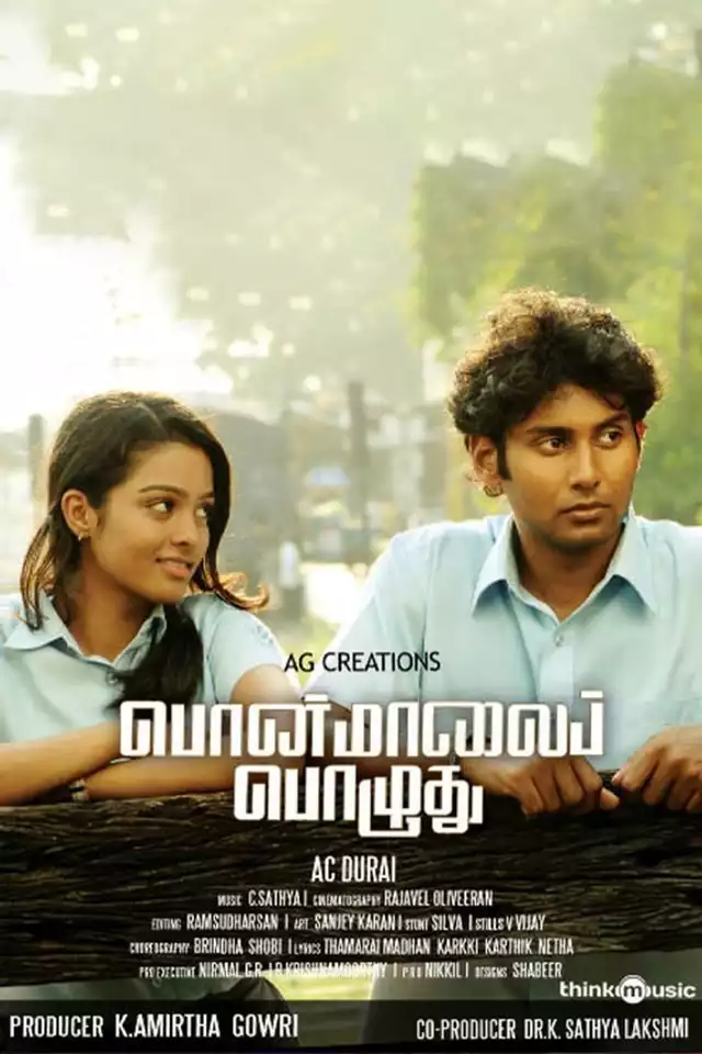 movie vertical poster fallback