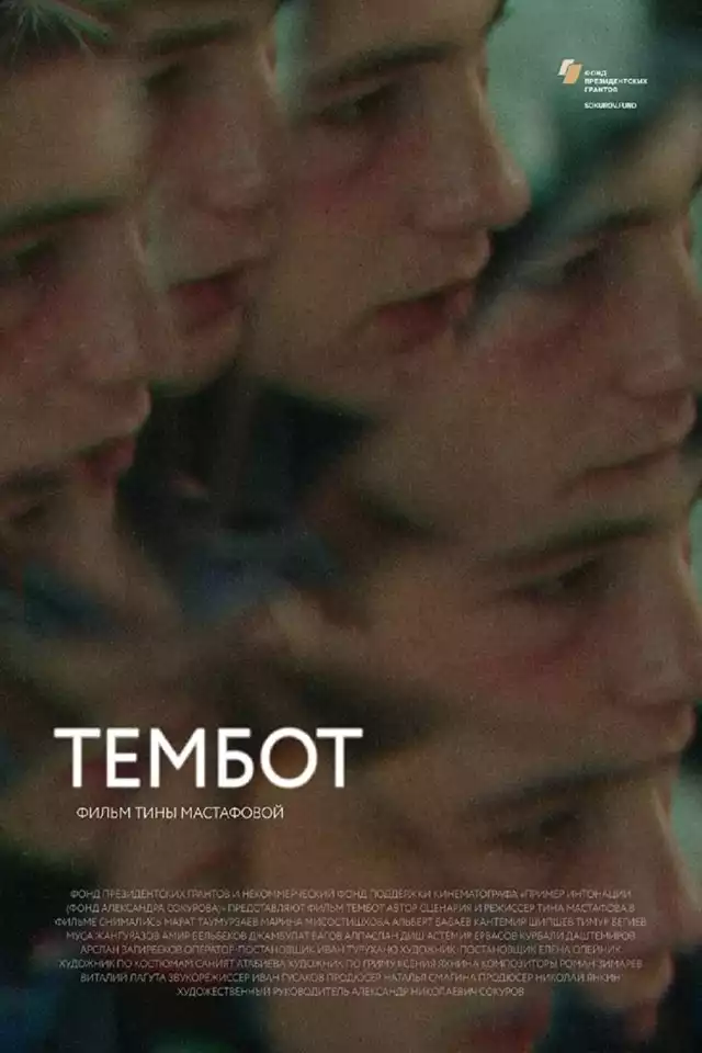 movie vertical poster fallback
