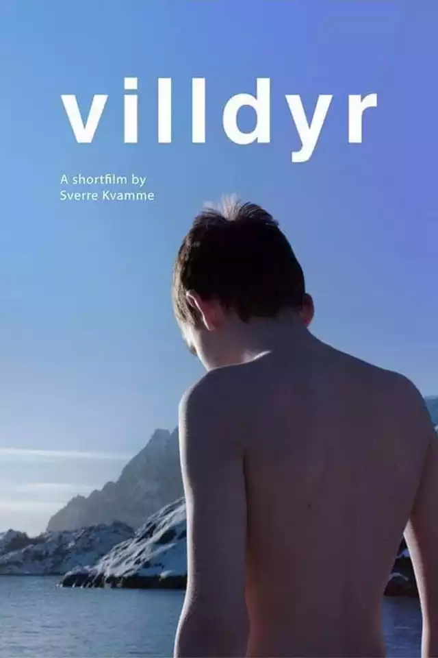 movie vertical poster fallback