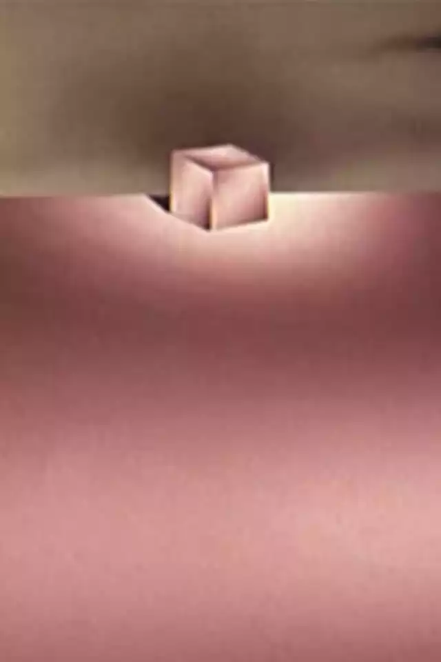 movie vertical poster fallback