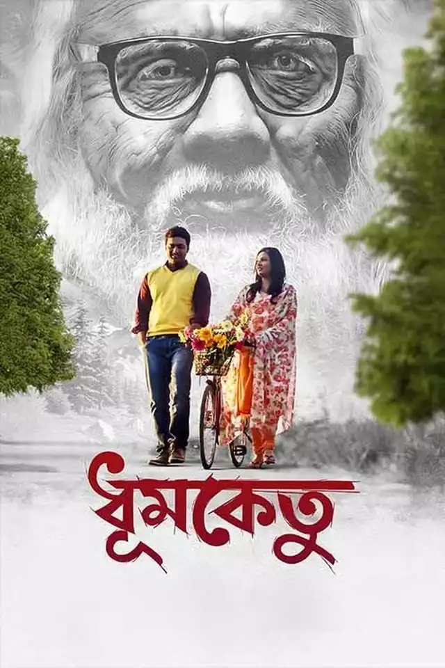 movie vertical poster fallback