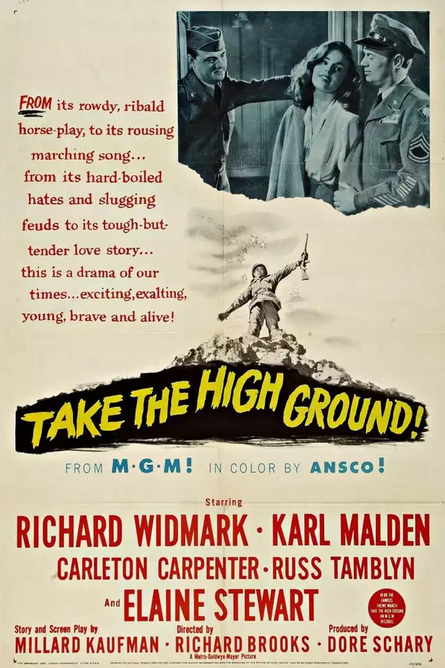 movie vertical poster fallback