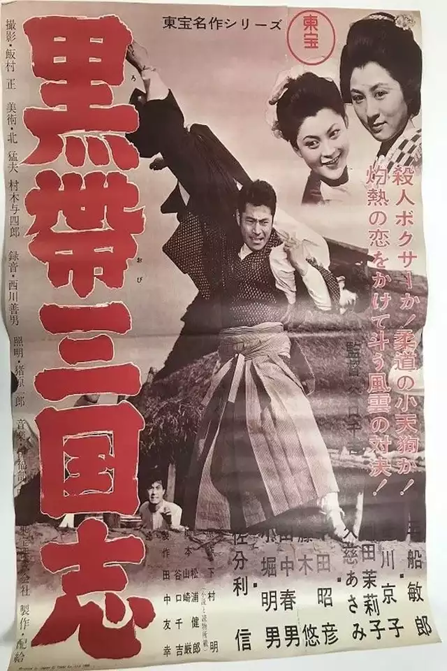 movie vertical poster fallback