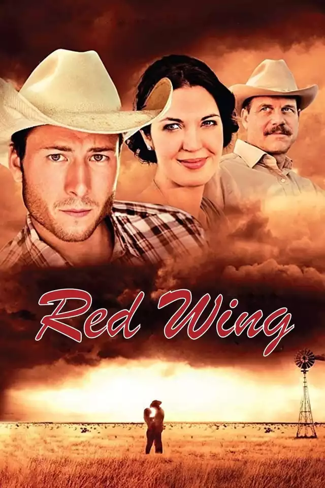 movie vertical poster fallback