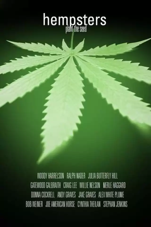 movie vertical poster fallback