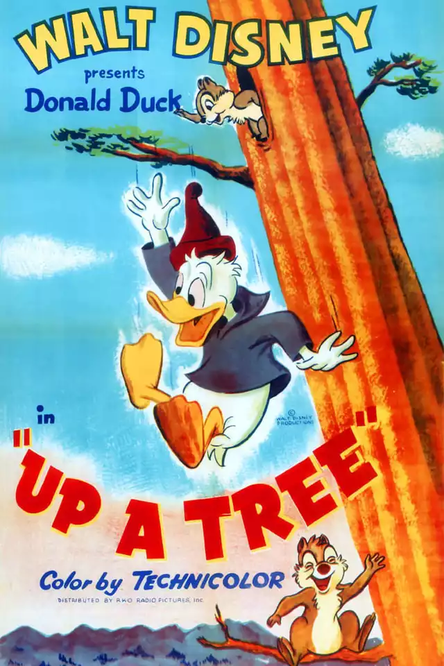 movie vertical poster fallback