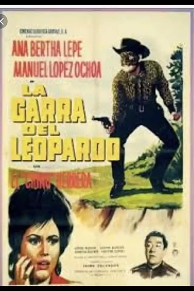 movie vertical poster fallback