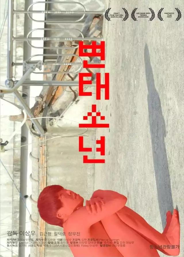 movie vertical poster fallback