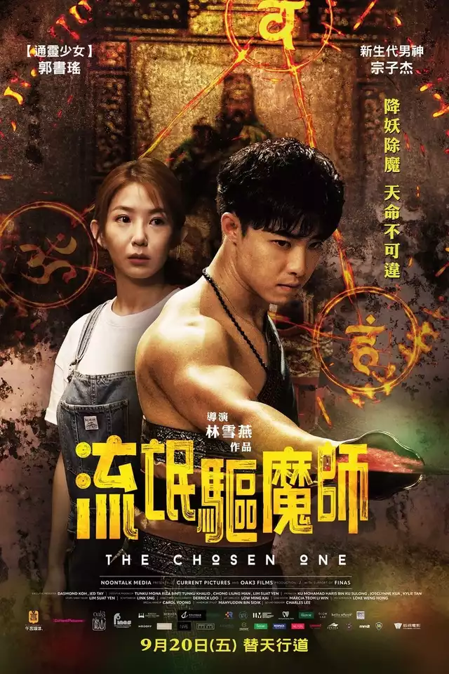 movie vertical poster fallback
