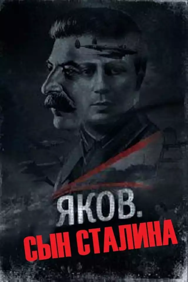 movie vertical poster fallback