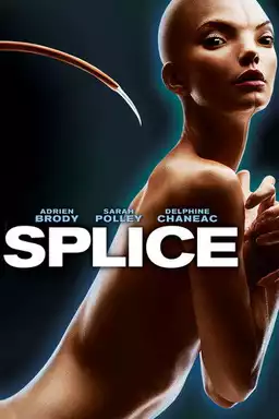 Splice