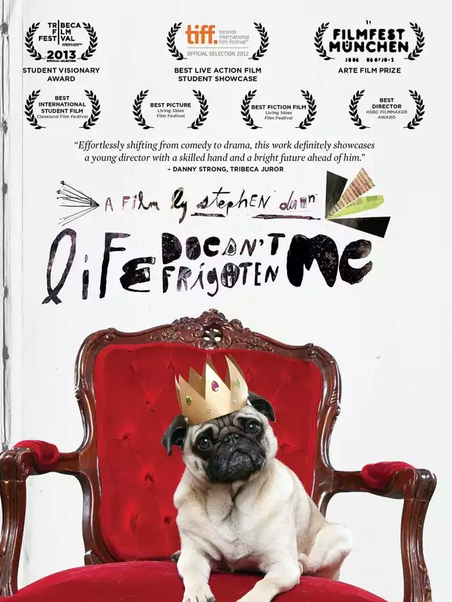 movie vertical poster fallback