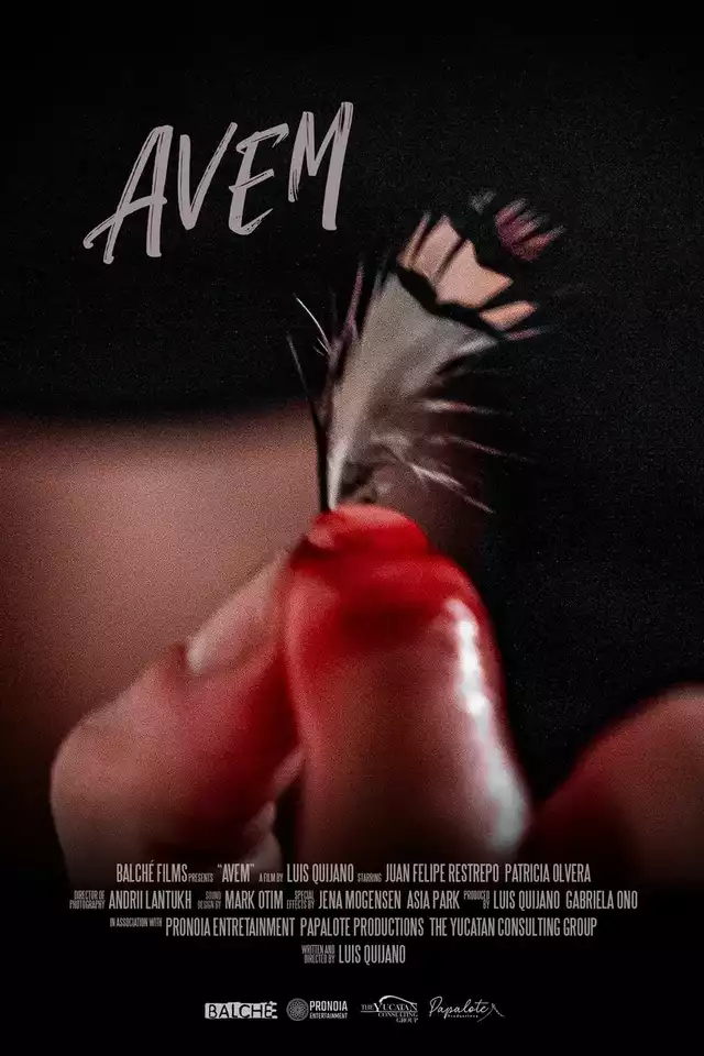 movie vertical poster fallback