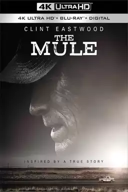 The Mule