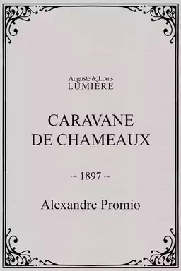 Caravane de chameaux