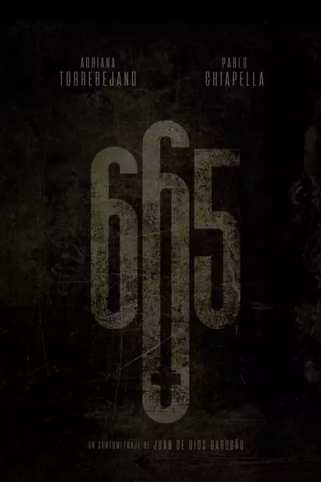 movie vertical poster fallback