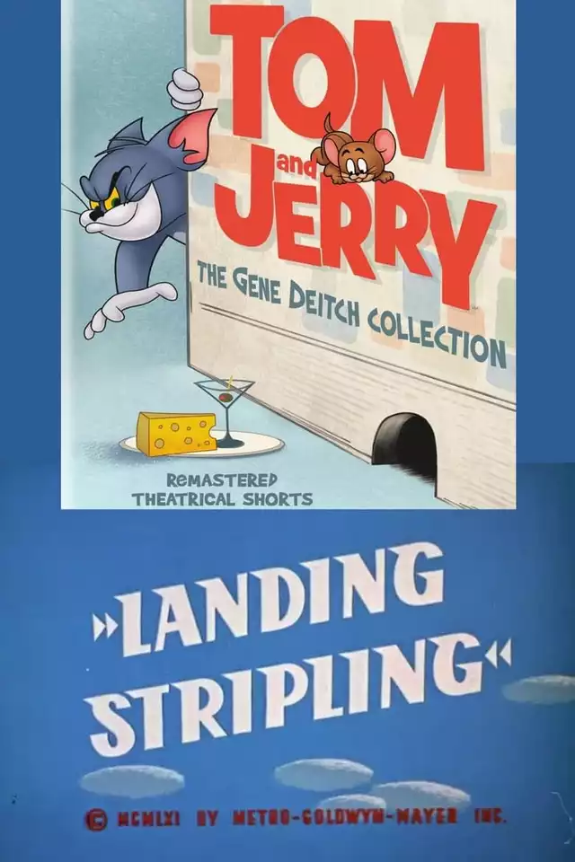 movie vertical poster fallback